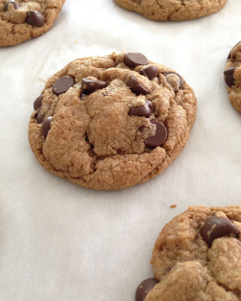 Coconut Oil Chocolate Chip Cookie